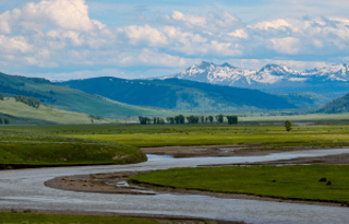 2024 THOR Scope - 18ft Pet friendly