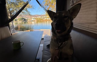 Wolfie 22RR: Toy Hauler **Delivery only**