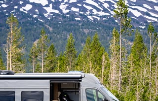 Nirvana: Your Luxe Escape into the Wild