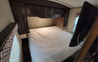 Cruiser Embrace EL310