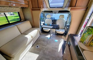 Fiona Chocolate - (good) dog friendly!