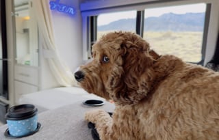 Obi-Wan - Boondocker's Delight - Just add water!