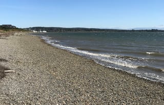 Joe's Travel Trailer