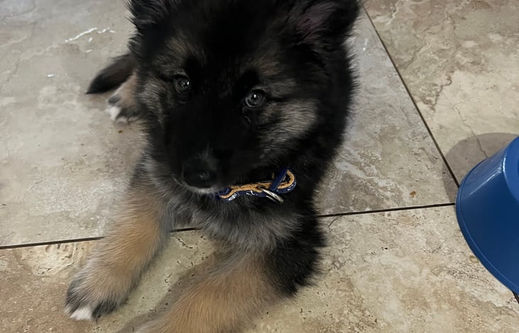 pet friendly ! ask for details