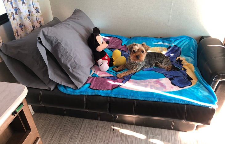 The couch bed is probably the easiest to produce out of the two extras. It is smaller than a twin and will accommodate kids 1-12 easily. Depending on size 1-2 ppl. Bedding not provided.