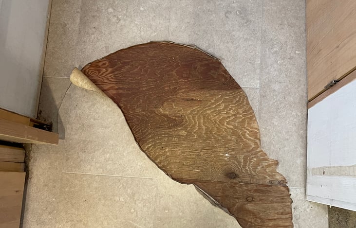 Some wear and tear from the dog. He tore up the floor in the hallway. Planning to replace. Current pricing reflects the eyesore.