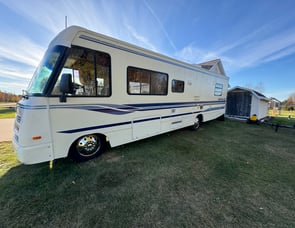 Winnebago Brave 31C