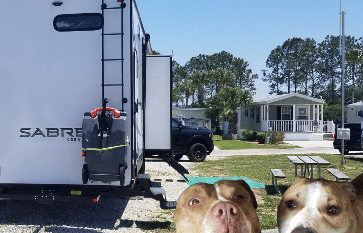 Welcome from Kembo and Benadryl ("Ben")!