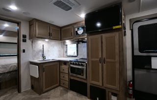 Palomino Solaire
