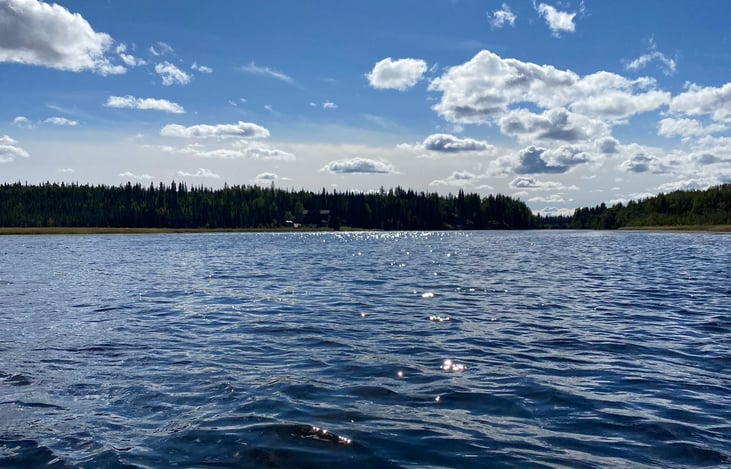Kayaking trip down the Moose River, in Sterling Alaska
