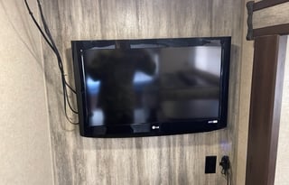 "Wolfy" the Cherokee Wolf Pup