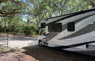 "Rebecca" - The Perfect Sun Seeker!