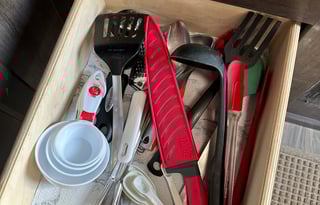 2017 Forest River - Stealth