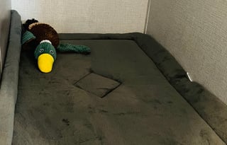 Meet Lennon! Our 2023 Grand Design Imagine 2800BH