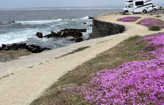 2020 Tiffin Wayfarer 19 tm 19' Great for 1st timer