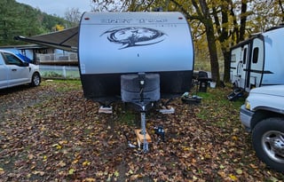 Catori (Cherokee Grey Wolf)