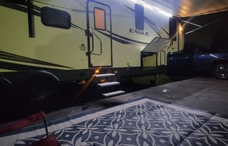 Fun and friendly family bird