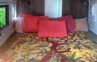 WINNEBAGO TRAVATO Camper Van for winter travels !