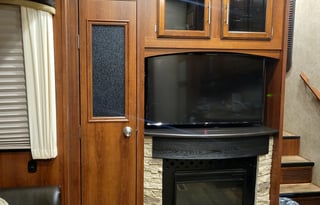 Fun and friendly family bird