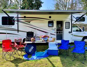 Forest River RV Sunseeker 3100SS Ford
