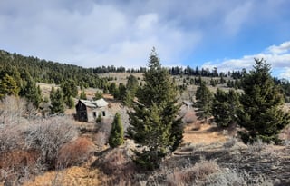 4WD All-Season "Rosie" UNLIMITED MILES + Starlink