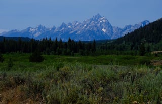 24 Winnebago Revel ALPINE FREE P/U +MILES+STARLINK