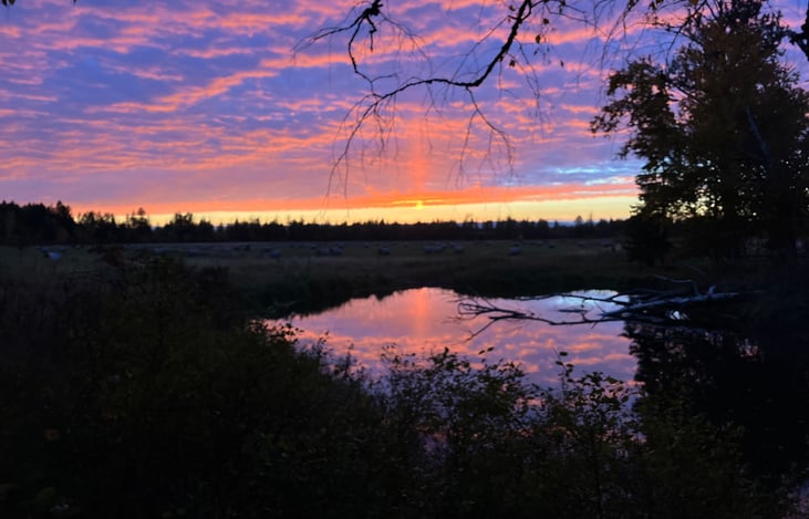 Sunset from parking location of Camper - overlooking the beaver pond.