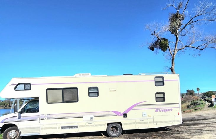 Side view- taken Jan 2023