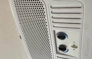 "Wolfy" the Cherokee Wolf Pup