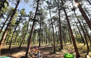 Woodland Park Family Camper Near Pike's Peak