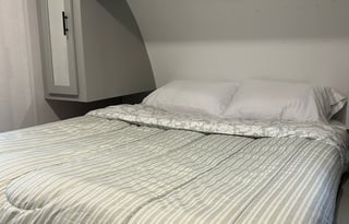 Forest River Wildwood FSX 270RTK