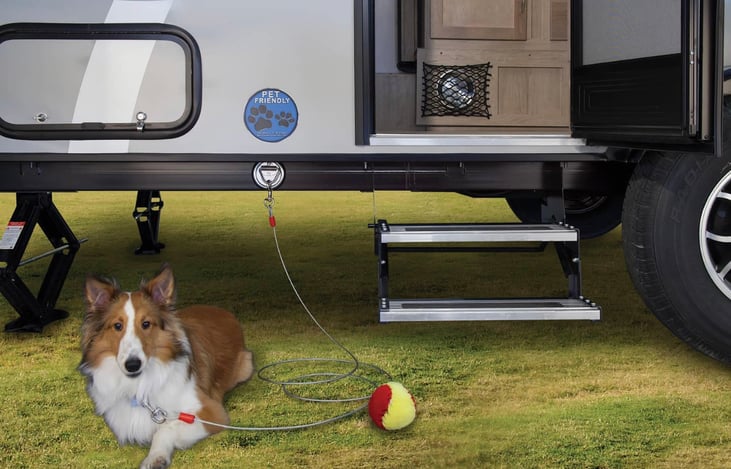 We love our little furry’s!