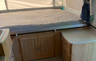 2010 palomino yearling y4103