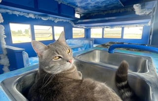 Puffy The Cloud Burning Man Rental