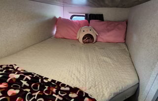 Platinum FSX - Lightweight Family Camper - "ROXY"