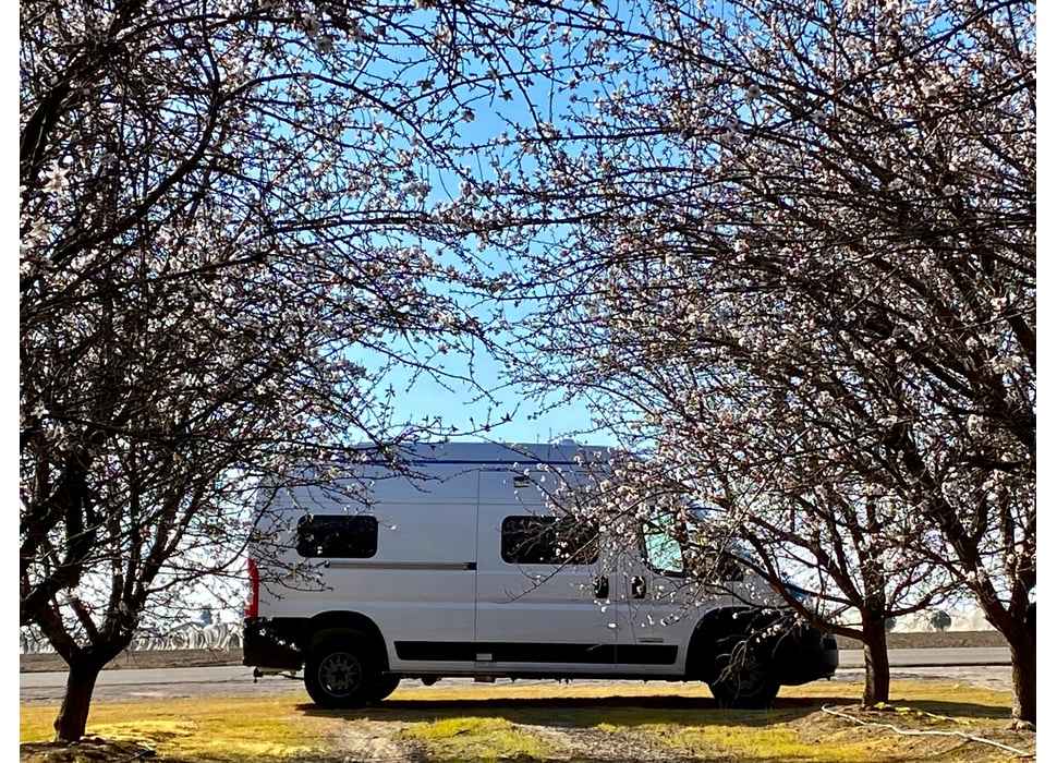 Class B Camping Van rentals in Gilroy
