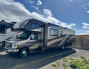 Forest River RV Sunseeker 3050S Ford