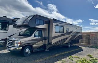 'Olive' 2018 Forest River Sunseeker 3050S ACO2041