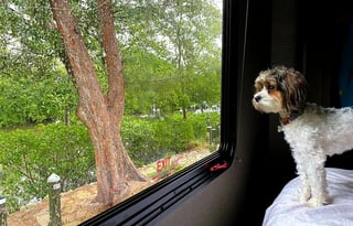 Thor Motor Coach Four Winds 24 Ft.- EARLY PICK UP