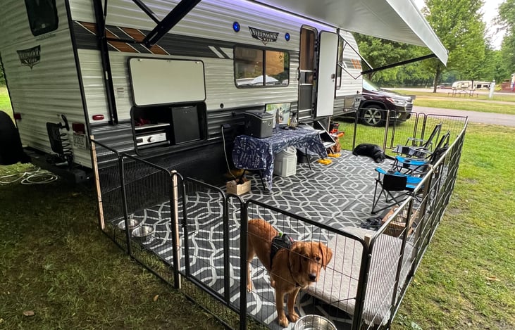 Dog cage with outdoor rug