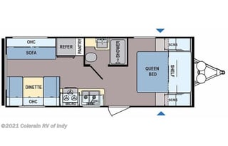 The Light of the Woods