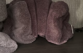 2022 Leprechaun 319MB Ford 450