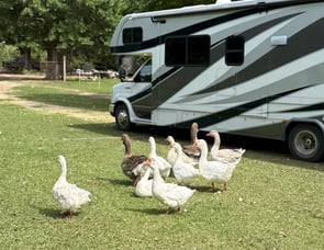 Forest River RV Sunseeker 3050S Ford