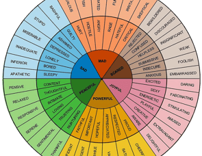 ATC Trailers ATC Toy Hauler 8.5X20