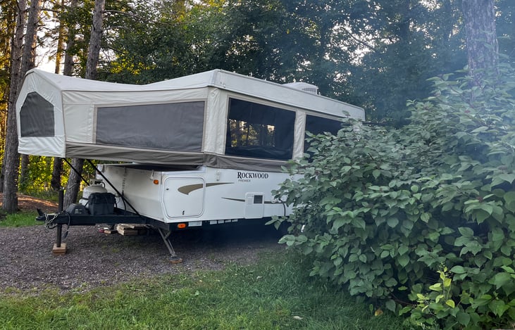 Poppy in Two Harbors