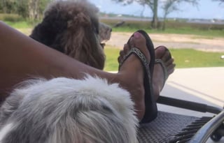 "Dixie & Diesel's Pad"