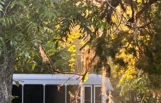 Escape in Nature in this Cozy Shuttle Conversion