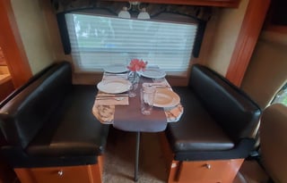 2010 Forest River RV Lexington 295DS