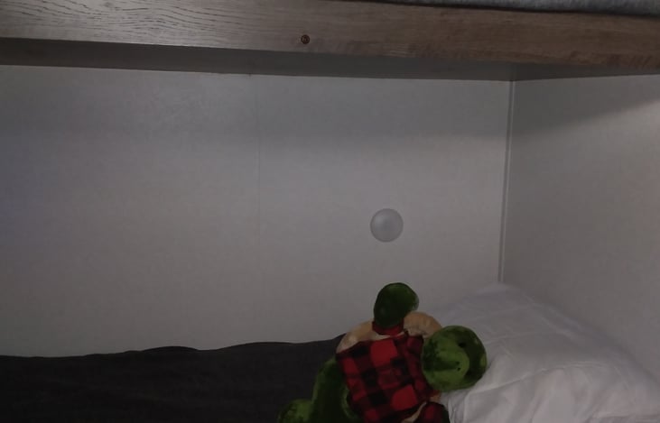 Shelly hamming it up on the lower left side bunk.