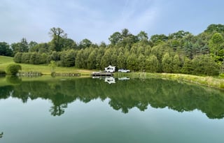 2022 A Liner Classic Popup Trailer "Albert"